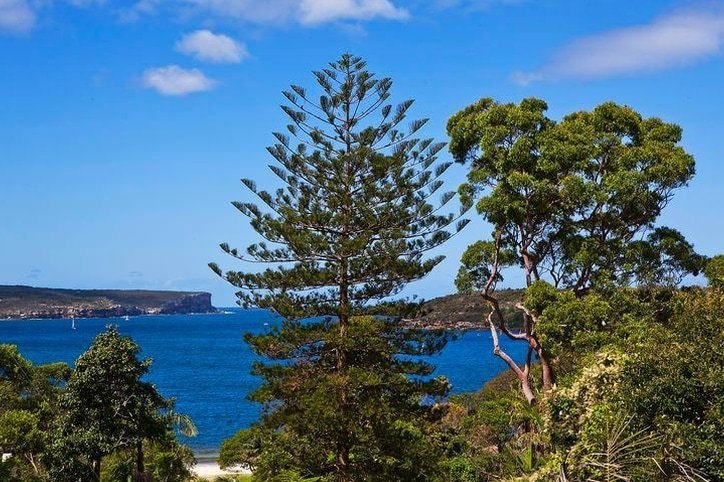 Balmoral Hamptons House – Heated pool and hot tub gallery image 4