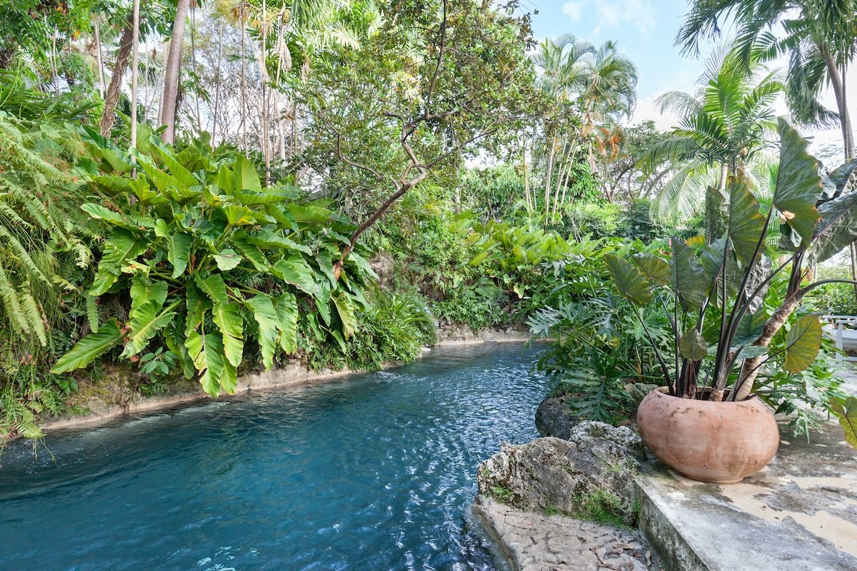 Fustic House gallery image 2