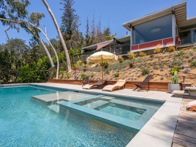 Oak Tree Perched Nest