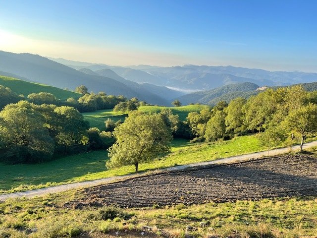 Mas Fogonella gallery image 3