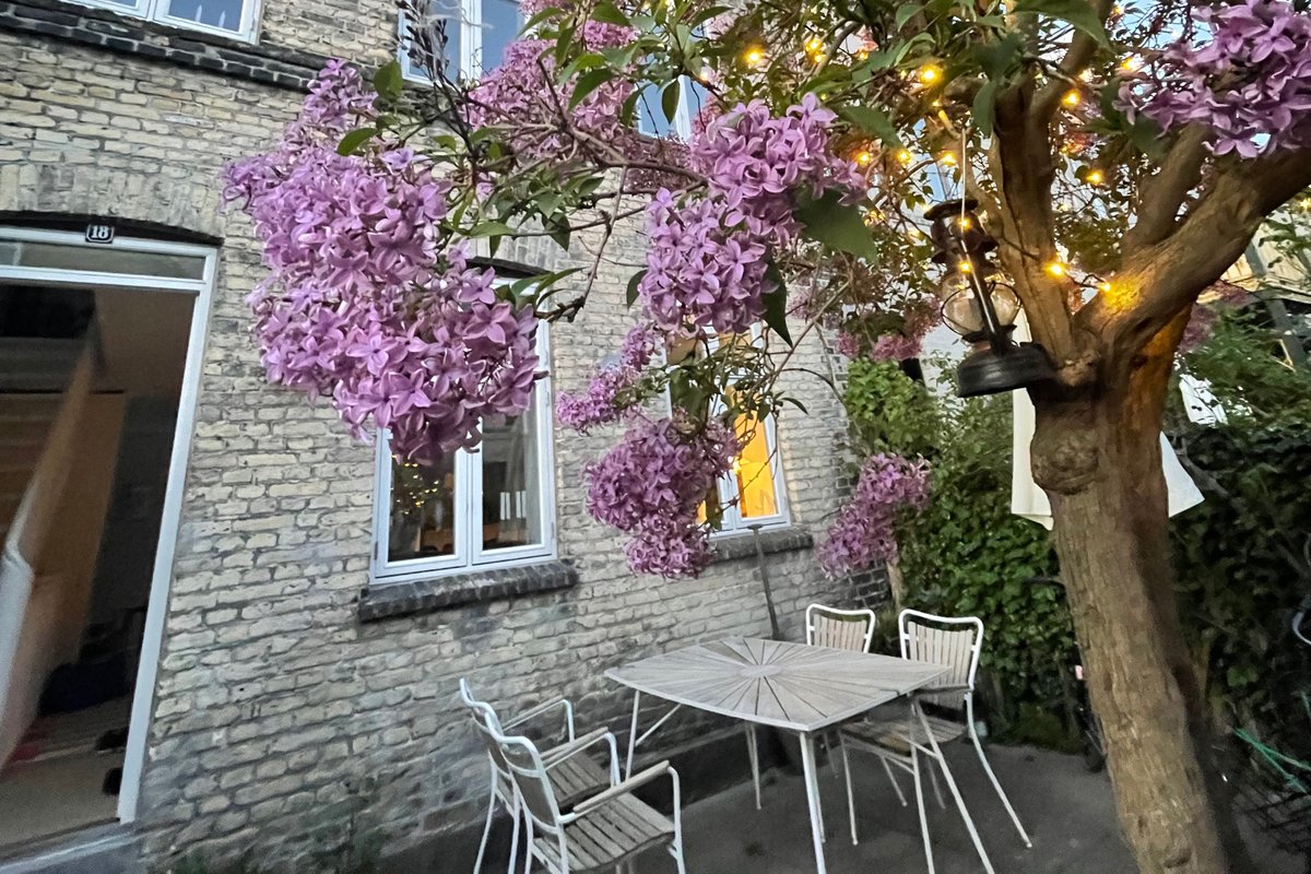 Uniq townhouse – total renovated – in city center