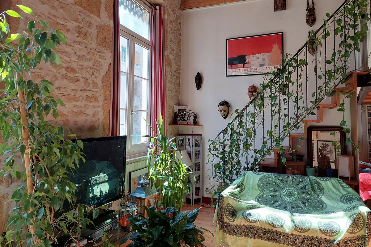 Spacious apartment in the district of Croix rousse