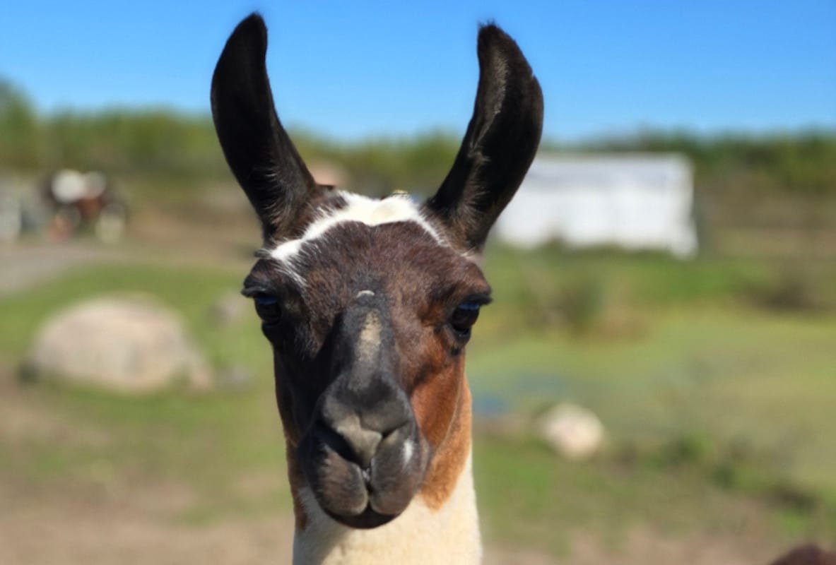 Traditional Farmhouse Experience gallery image 5