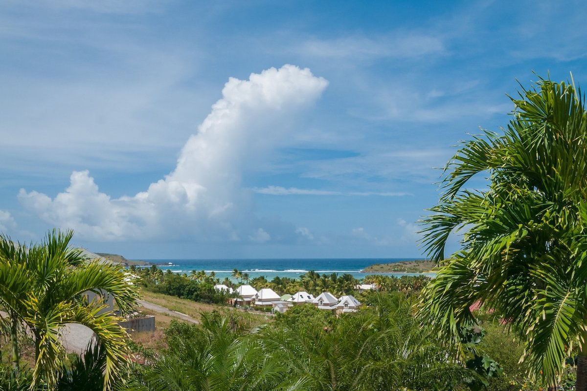 Palm gallery image 3