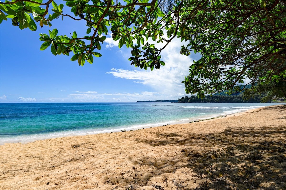 Oceanfront in Hanalei, Steps to Beach+A/C. TVR4206 gallery image 4