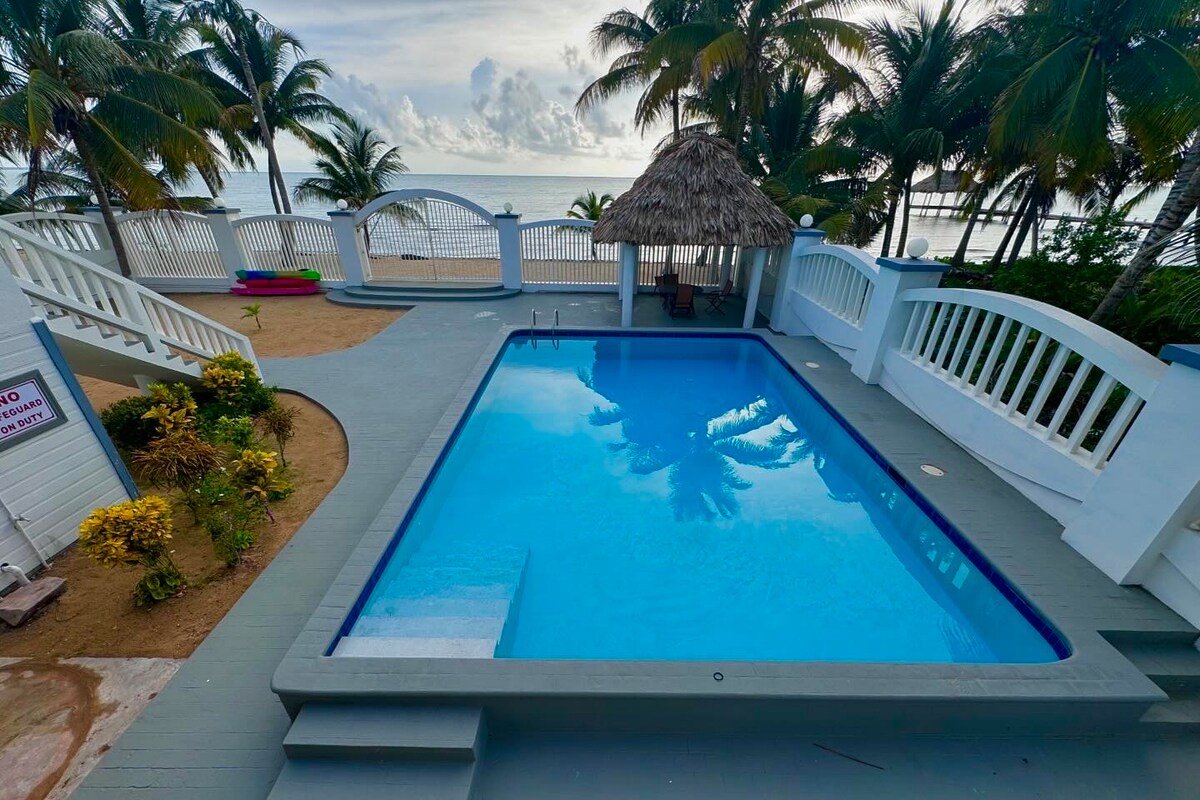 The Coastal Lion gallery image 5