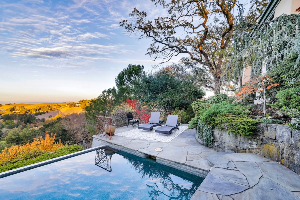 Stunning Luxurious Modern Los Altos Hills Villa gallery image 5