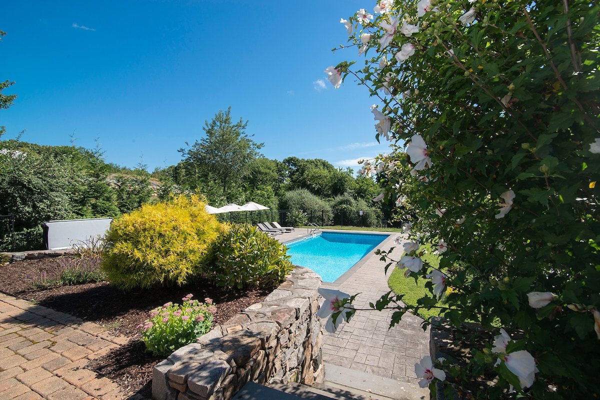 Gorgeous Pool Oasis gallery image 2