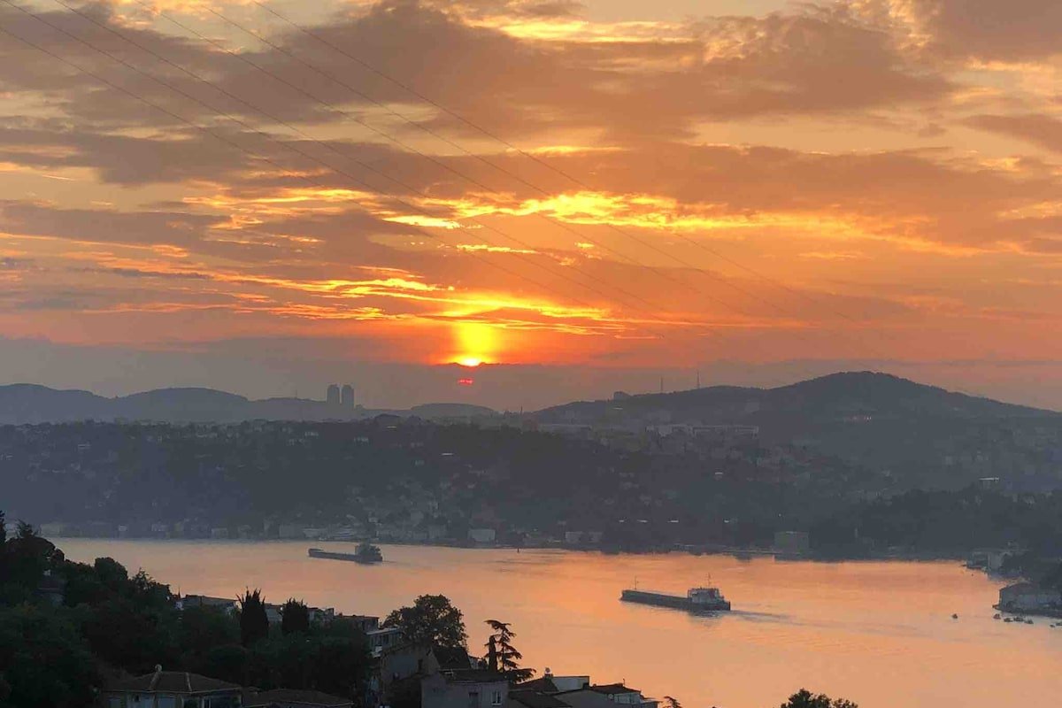 Detached house with magnificent Bosphorus view gallery image 4