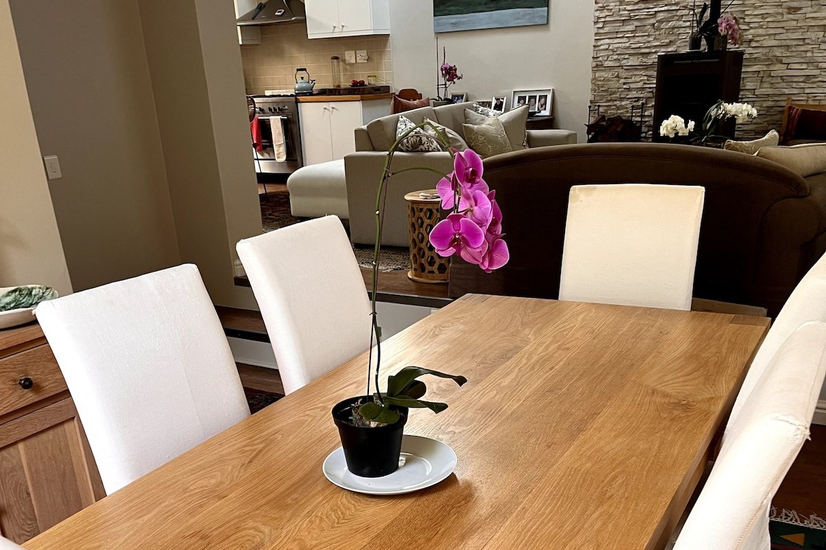 Upmarket, central Newlands home gallery image 4