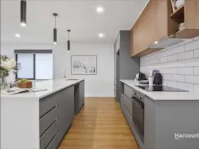 Secure Dog Yard – Executive Home WiFi 80″SMART TV