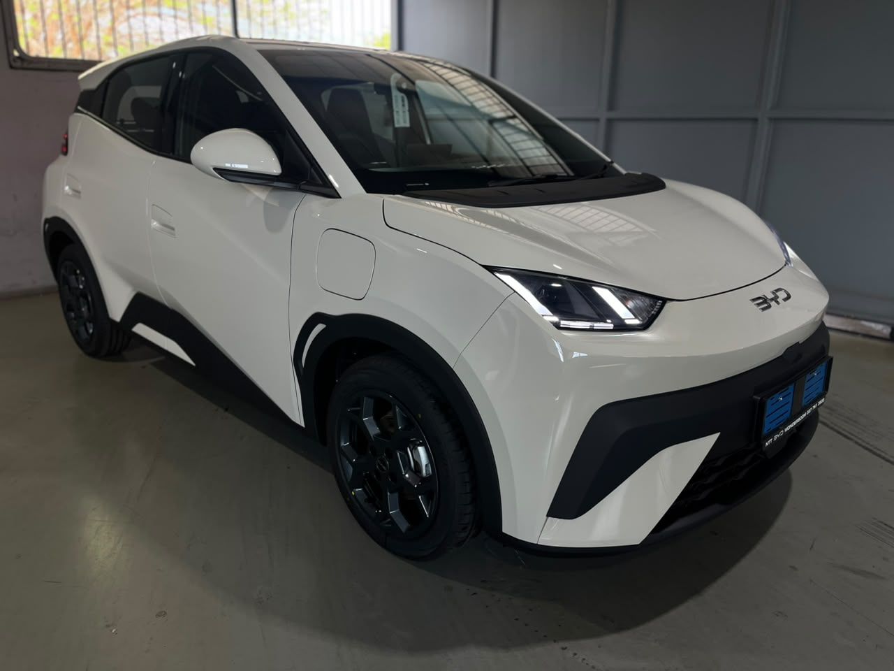 BYD DOLPHIN SURF COMFORT for Sale in South Africa