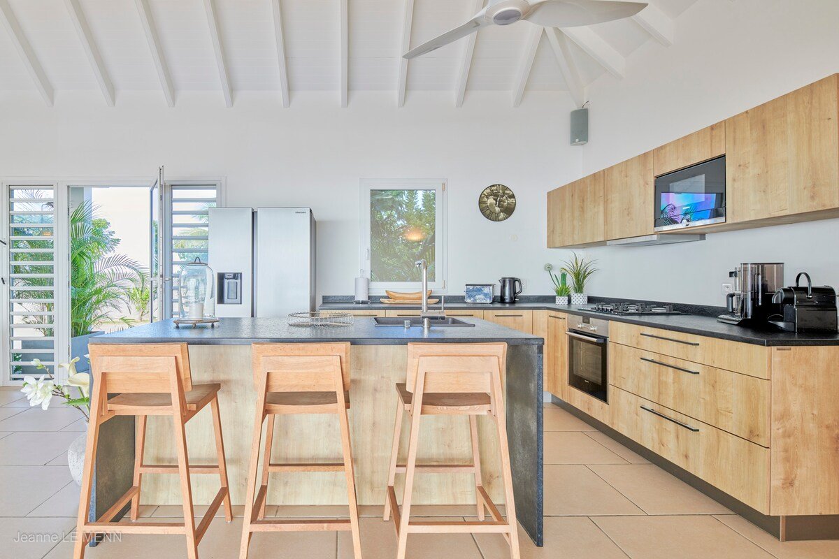 Cactus gallery image 5