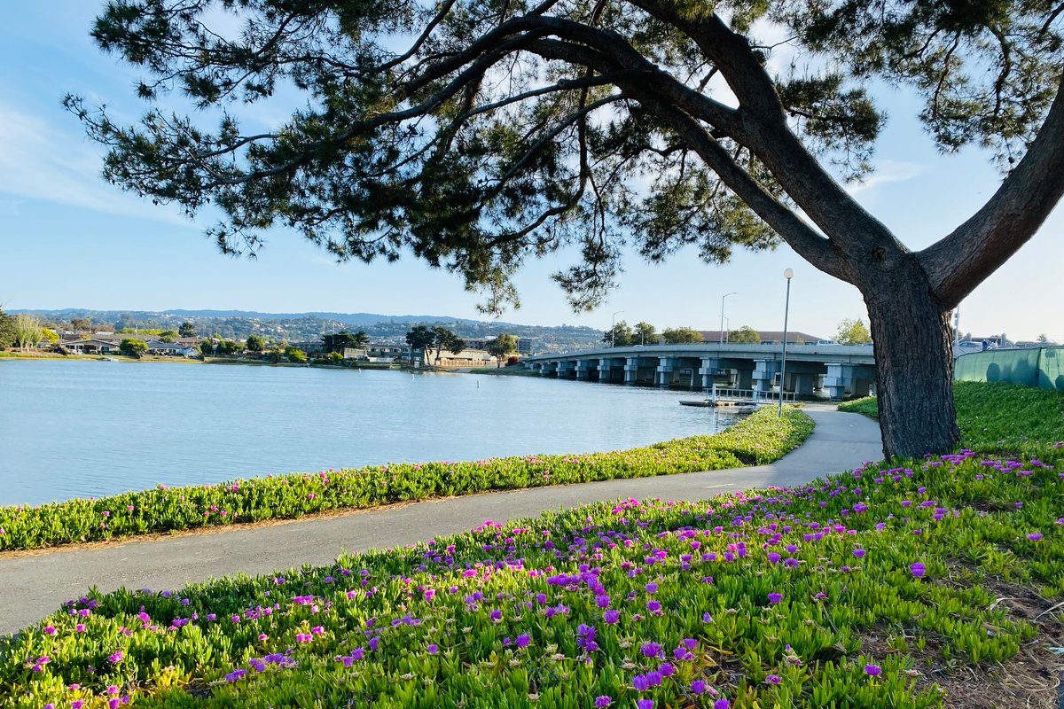 Elegant Modern 5BR/4BA in Heart of Silicon Valley