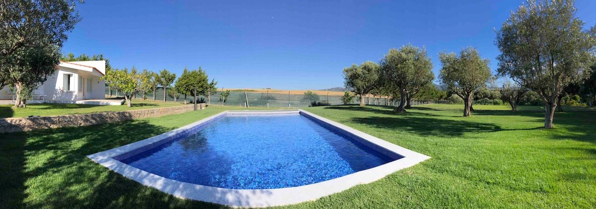 Quinta das Oliveiras gallery image 4