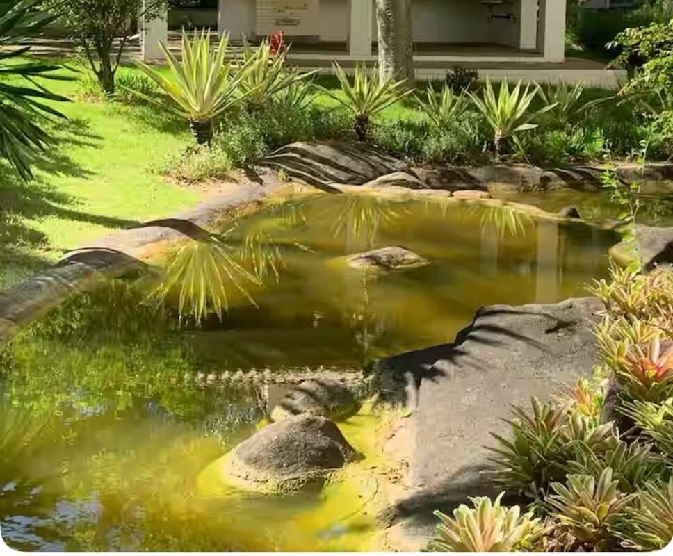 Apartamento Lindo no Paradiso! gallery image 3