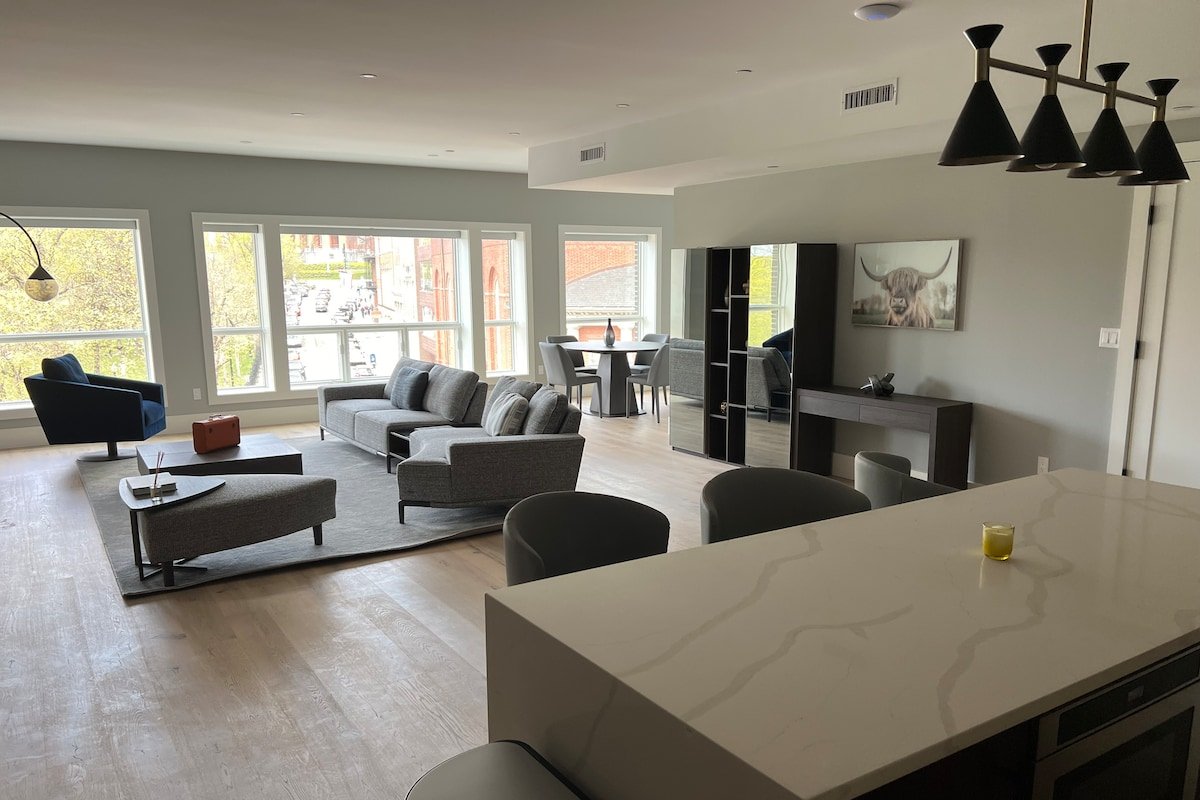 Luxury 3 bedroom 3 bathroom downtown loft gallery image 2