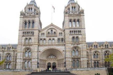 Clean, Modern 2 bed 2 bath gallery image 5