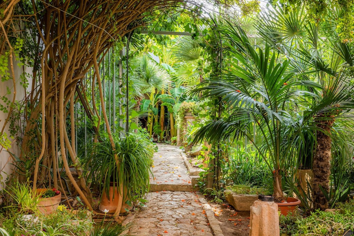 Bon Son Fiol gallery image 5