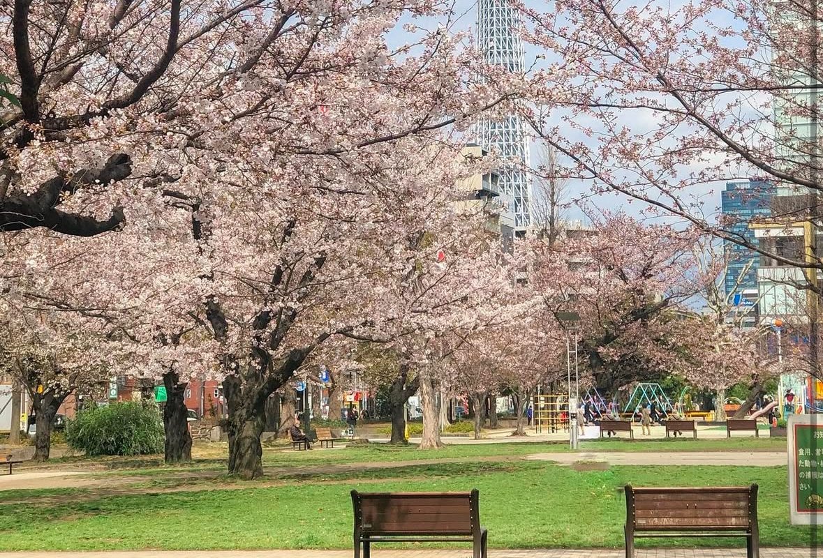 Elegant Tokyo Retreat: Jacuzzi, Cinema & Skytree gallery image 5