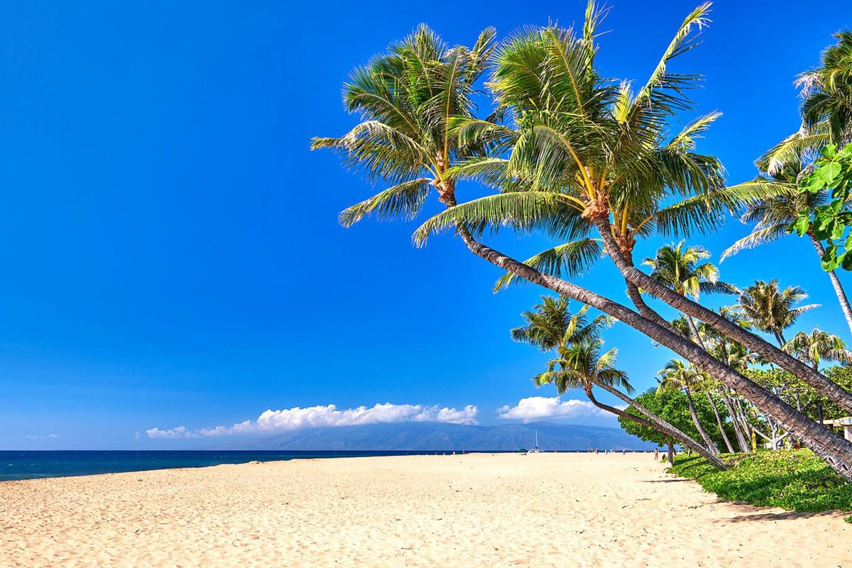 Honua Kai Konea 706 | FREE CAR | KBM Resorts