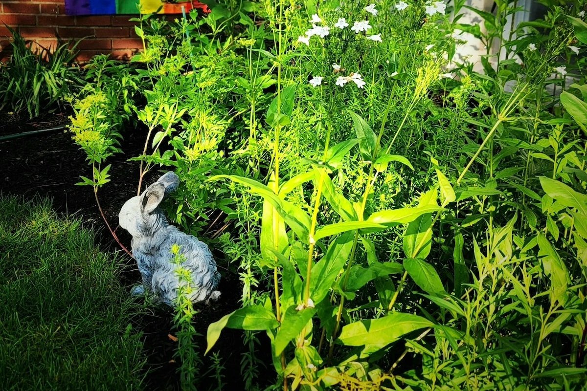 Women Hosted Plant Paradise 2BR | NYC + Airport gallery image 4