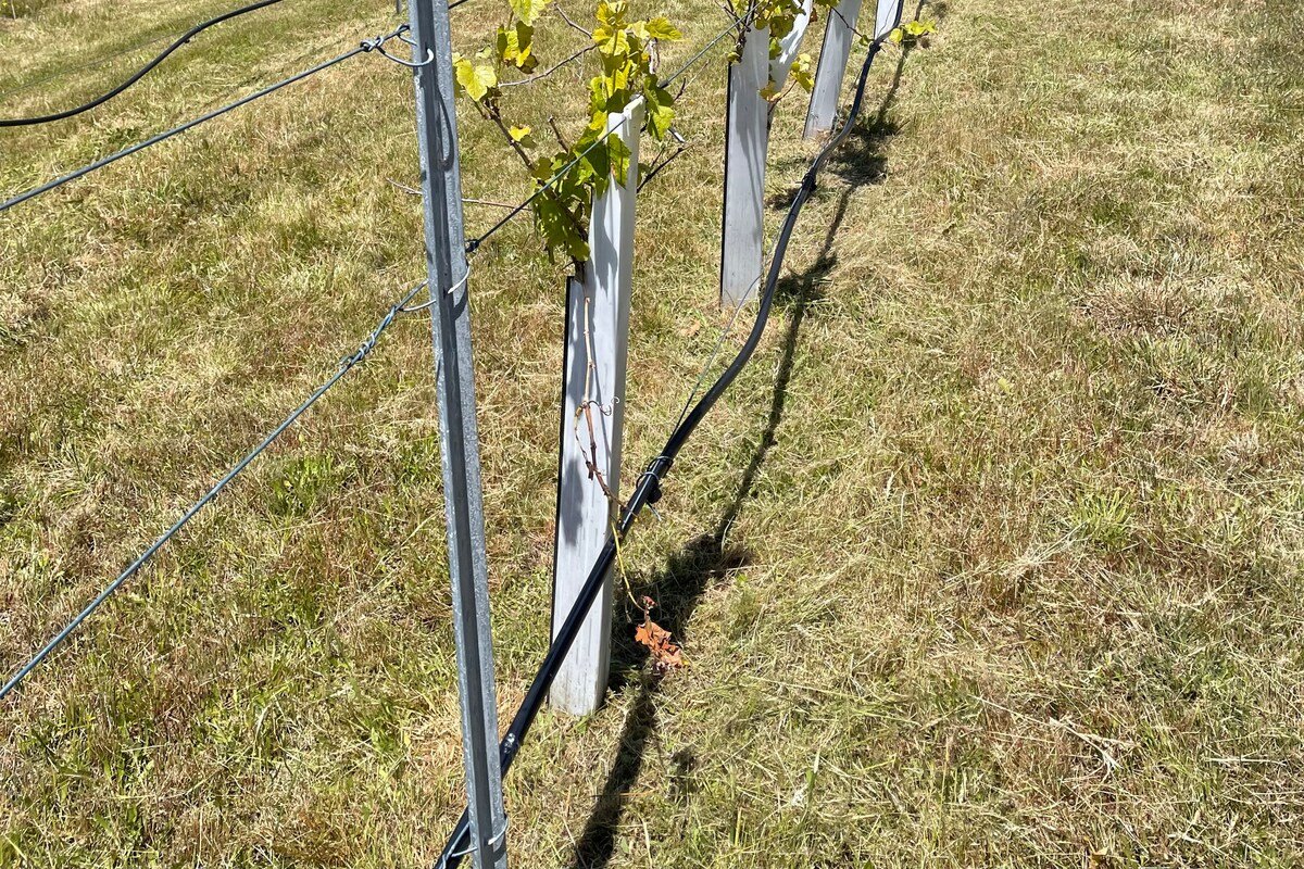 Seal Cove, East Coast Tasmania gallery image 4