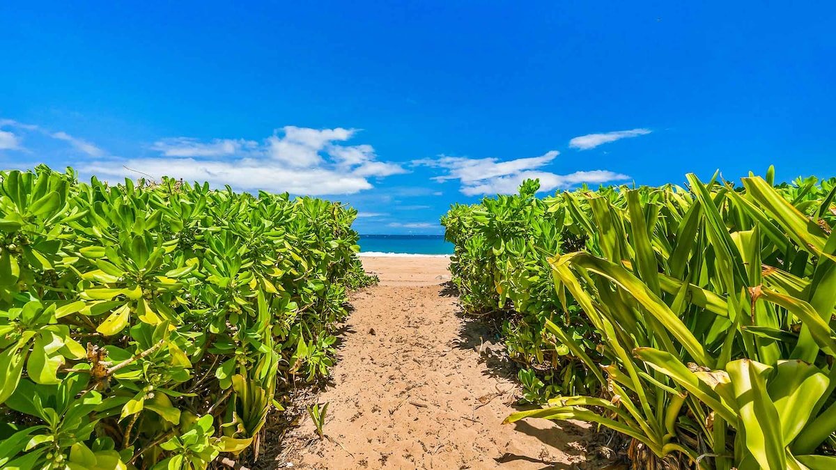 Anahola Beach Hale By Parrish Kauai gallery image 5