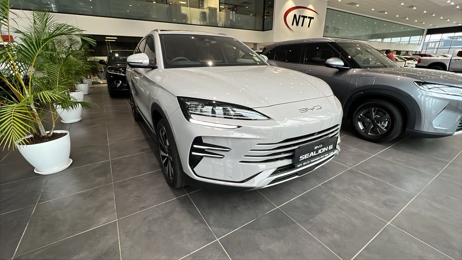 Used car gallery