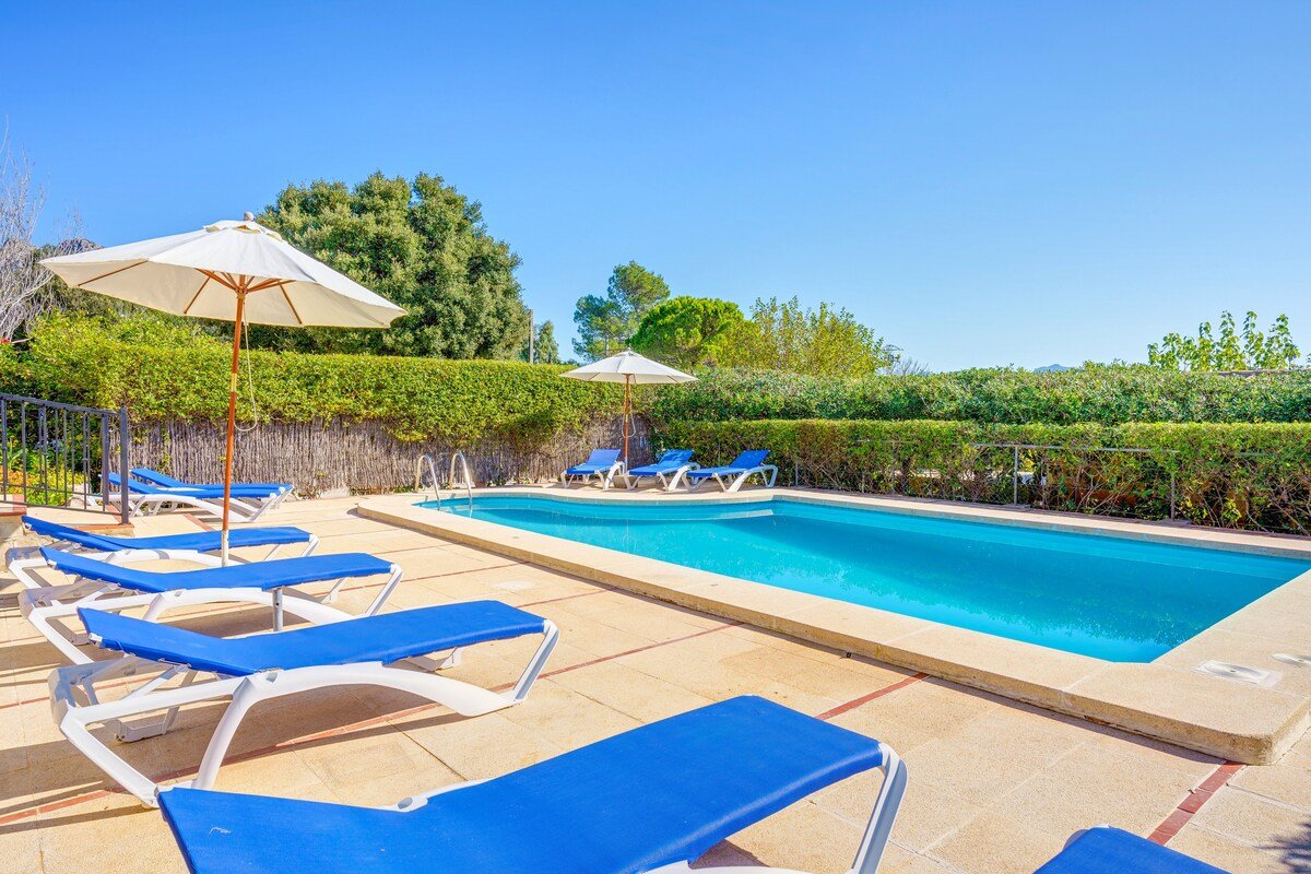 Villa Luis Vives gallery image 4