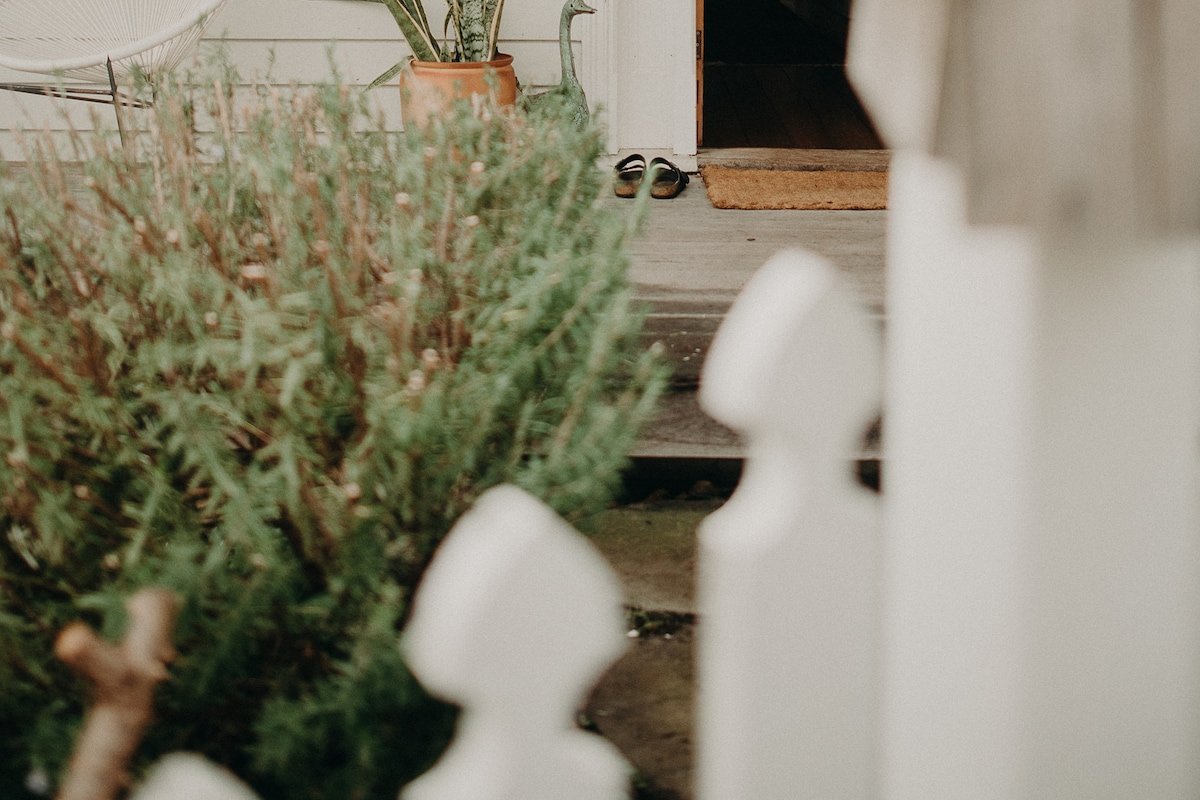 Samphire Collection Albany – The Allotment Cottage gallery image 5