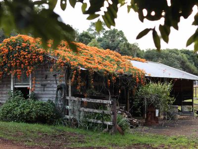 Windaboo @ Rosebank Byron Hinterland Estate
