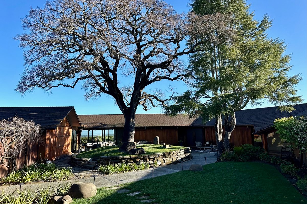 Best Views Mid-Century Gem 10m from Stanford