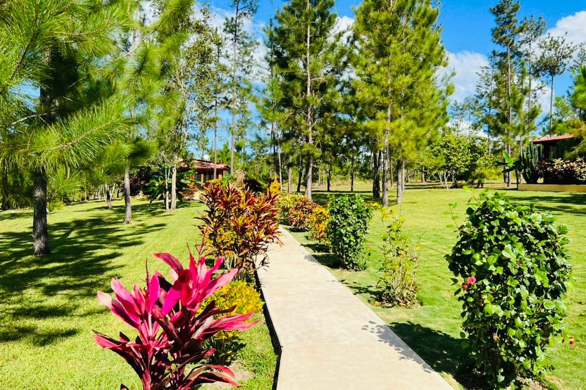 5 acre estate with pool in Mountain Pine Ridge gallery image 3