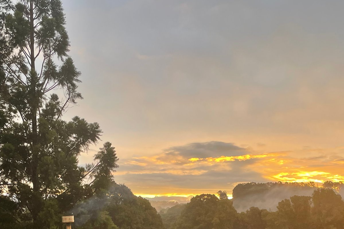 Black Cockatoo Bangalow