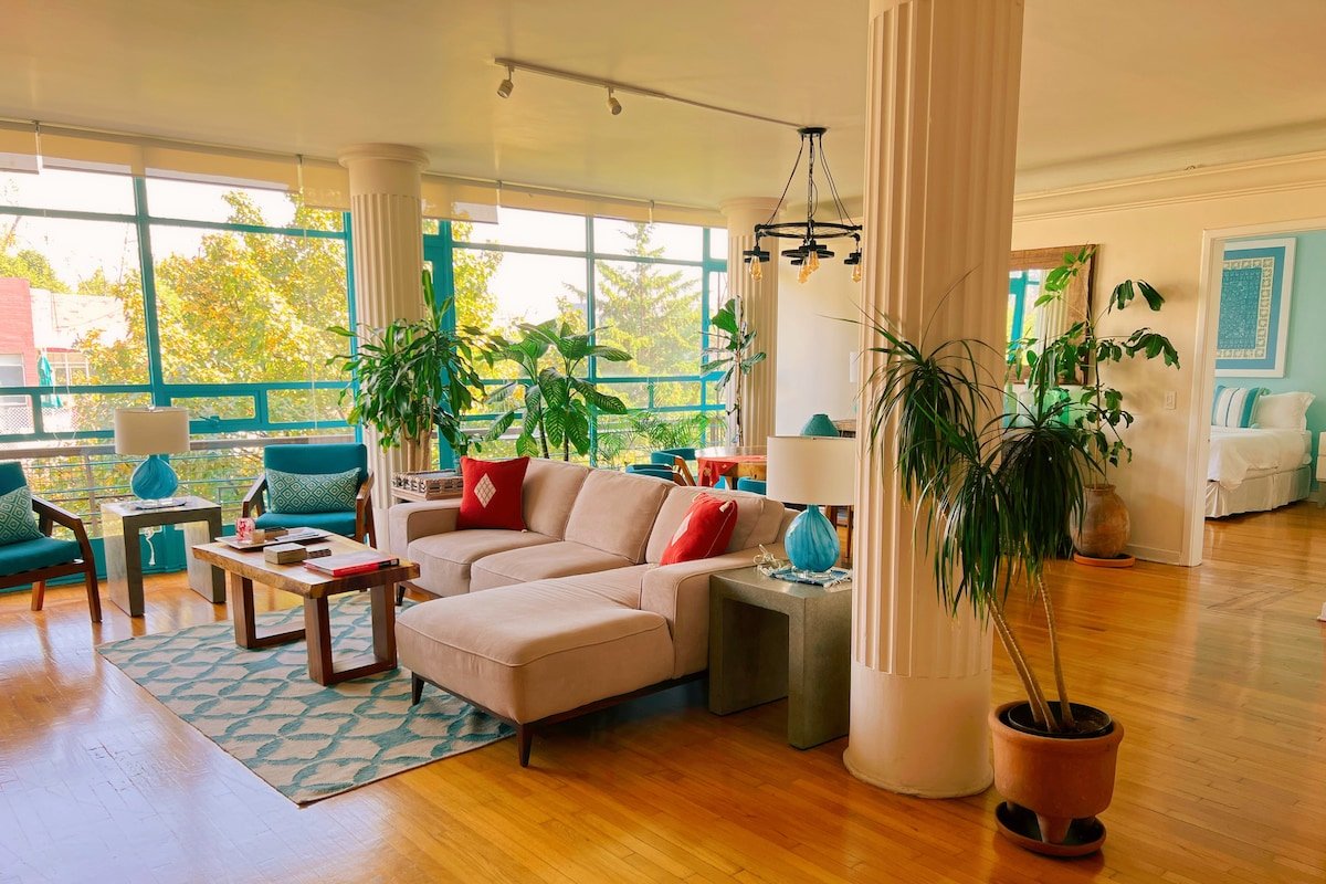 Mexican Charm large bright APT amazing location gallery image 4