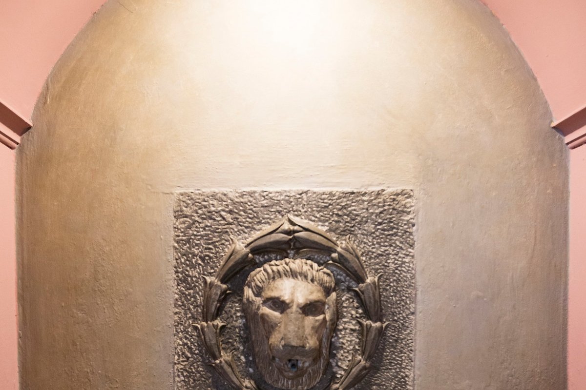 The House of the Lion gallery image 4