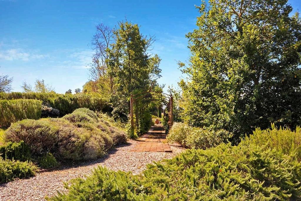 Beautiful modern villa with pool in Val D’Orcia gallery image 4