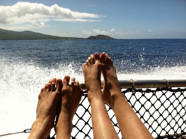 Charming Log House! Sacred Garden Farm Stay gallery image 3
