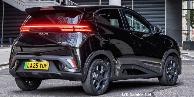 BYD DOLPHIN SURF DYNAMIC - 17 