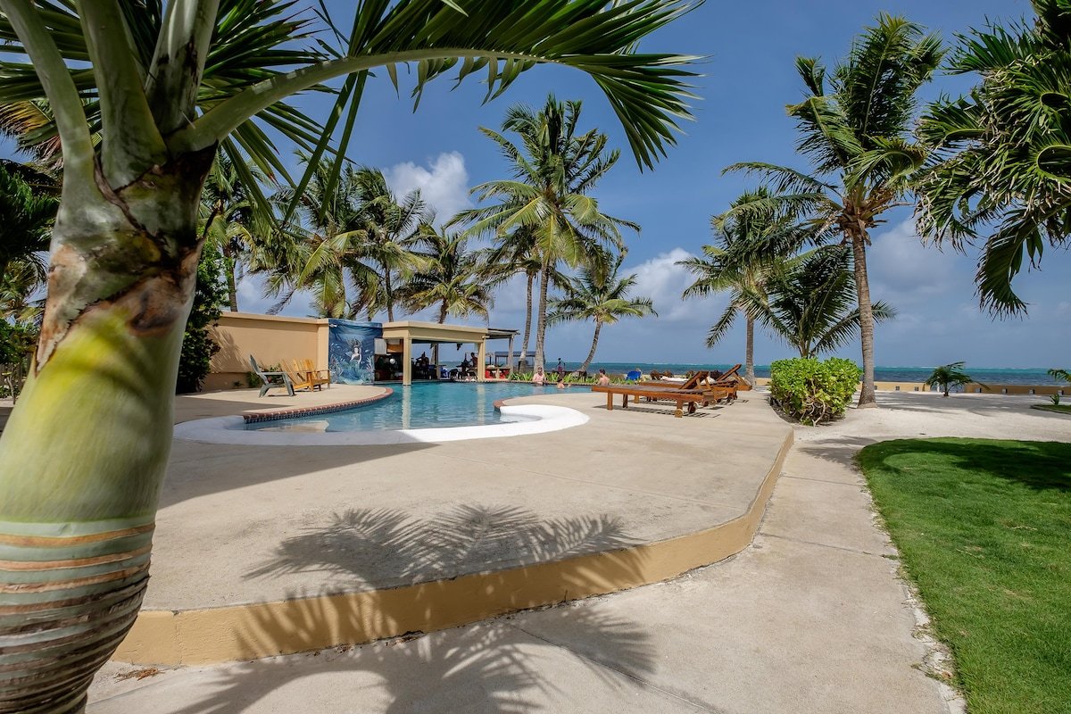 Spacious Condo Near Town with Pool & Oceanviews gallery image 4