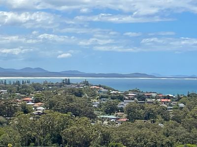 Whale watch from huge relaxing deck