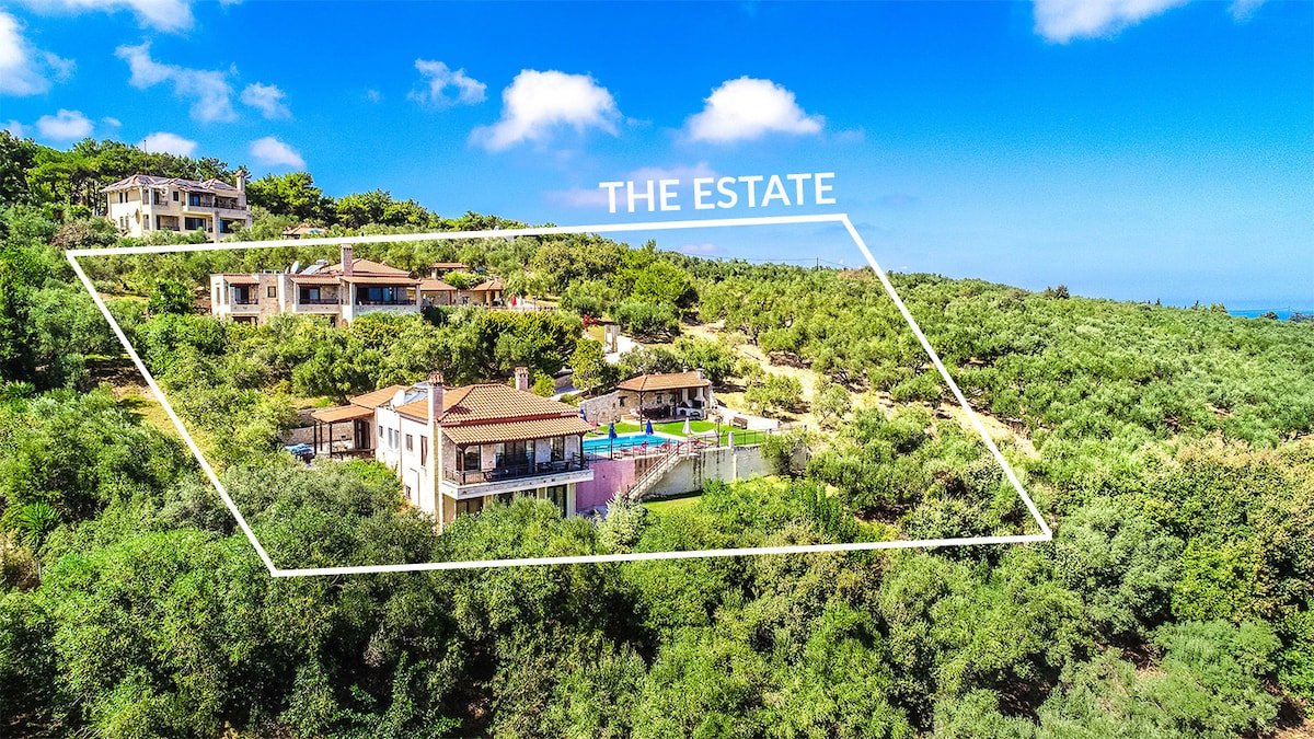 8-Bedroom Estate / 5′ to Beach / 2 Private Pools gallery image 3