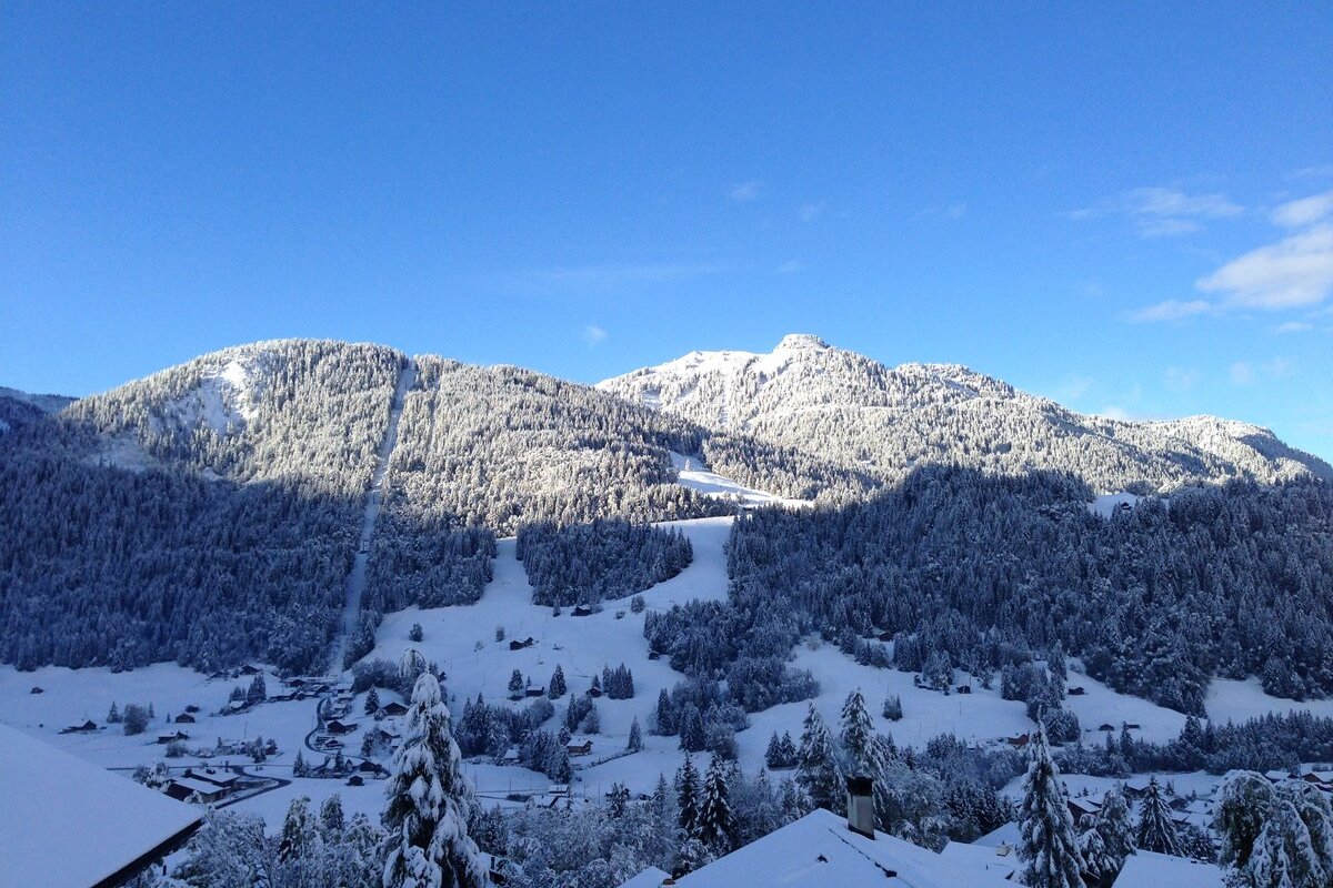 Modern 4BR Chalet | Glacier Views + Hiking gallery image 5