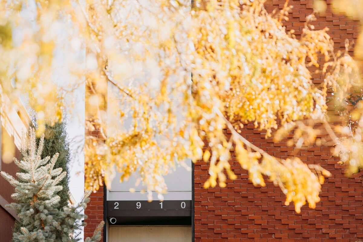 Spa + Design Experience in Curtis Park / RiNo Hood gallery image 4