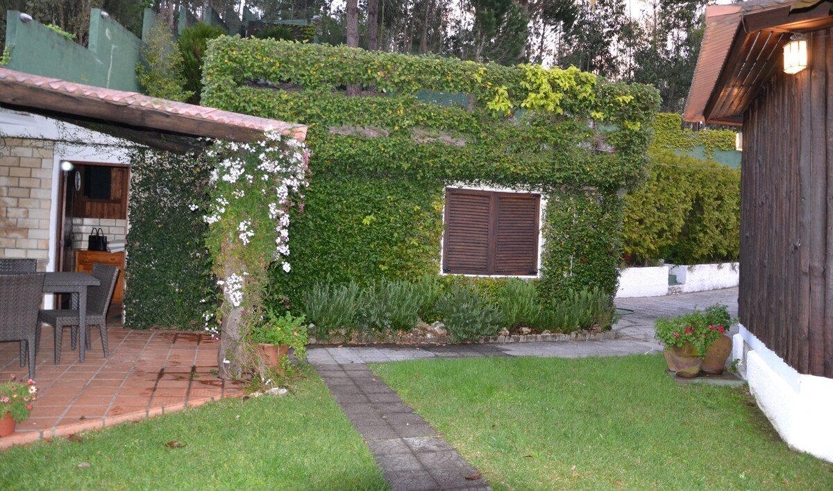 Douro Charming Chalet gallery image 4