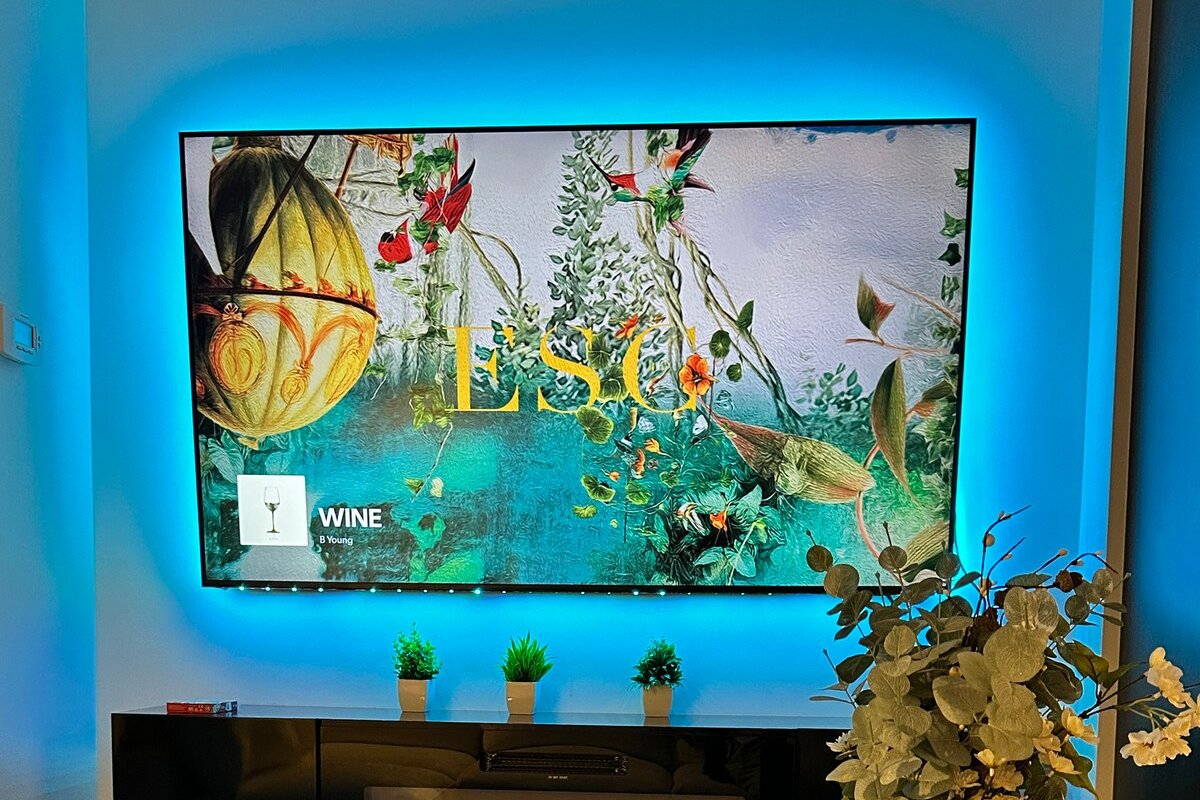 Elegant 2BR | CN Tower + Lake View w/ Rooftop Pool gallery image 4