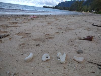 Two Homes across the beach.