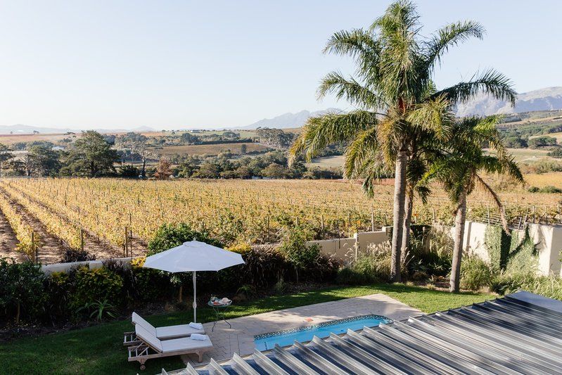 Mountain Manor Photo 4