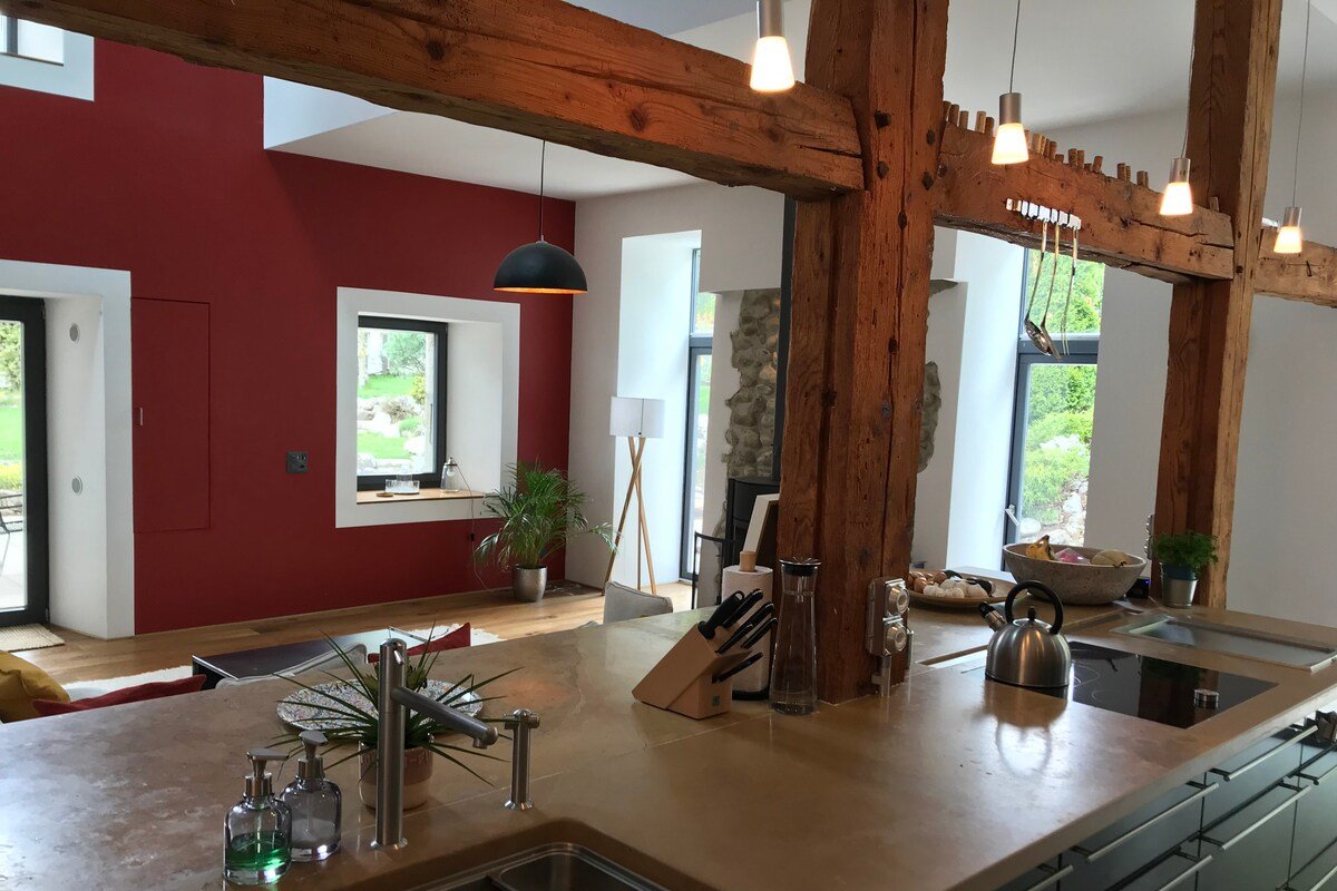 Countryside villa near Geneva lake gallery image 5